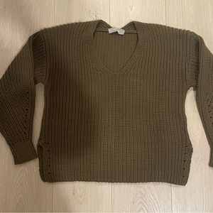 Everlane chunky knit v-neck sweater